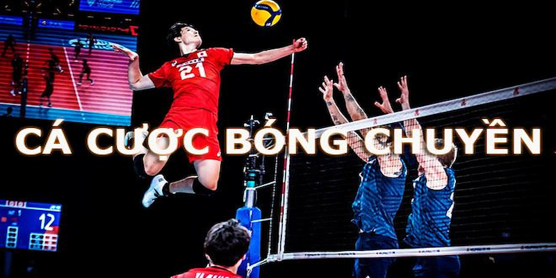 Luật thi đấu cá độ bóng chuyền được quy định cơ bản