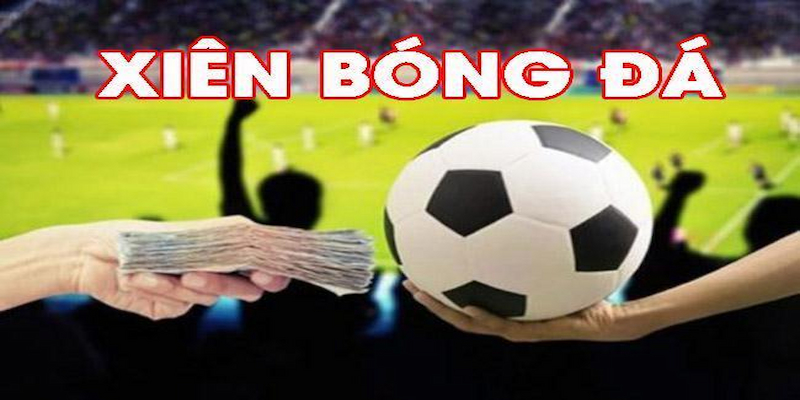 Lựa chọn kèo có tỷ lệ thắng cược cao