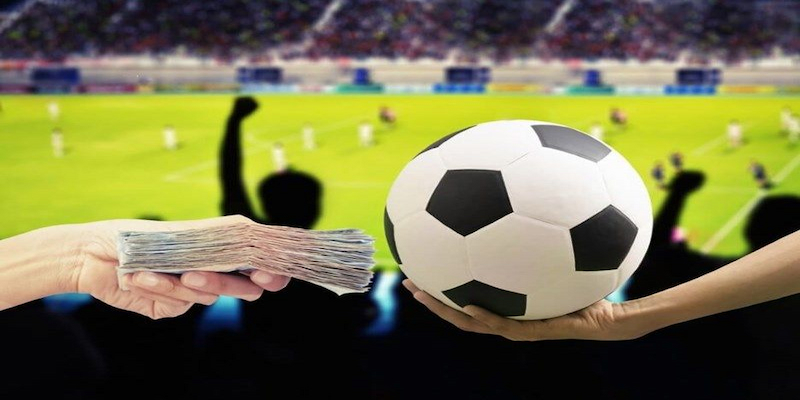 Mẹo chơi cá cược bida dễ thắng